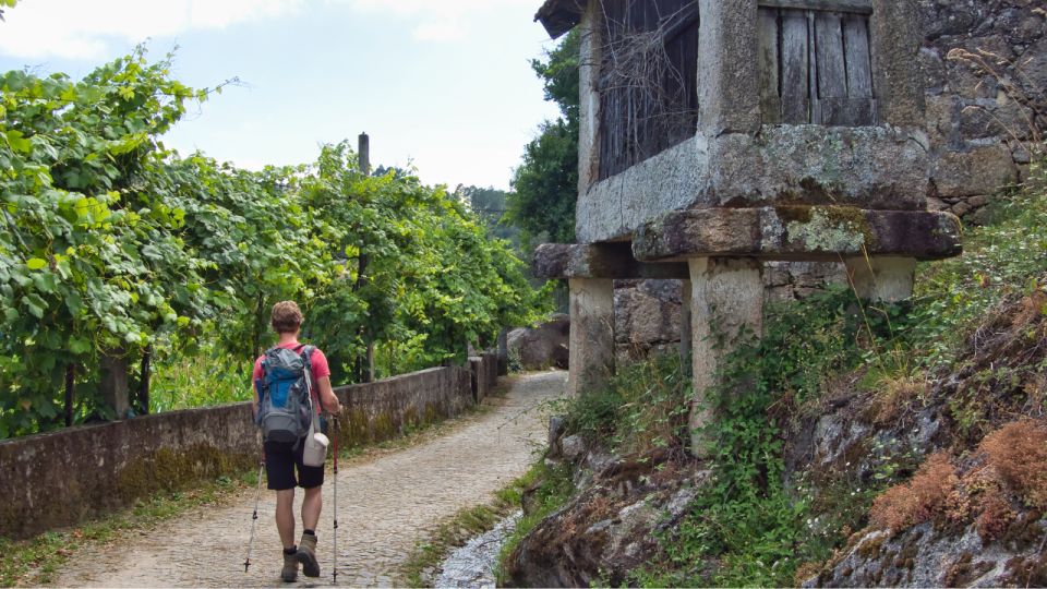 Walk & Picnic Peneda Gerês National Park - Guided - What to Bring and Wear