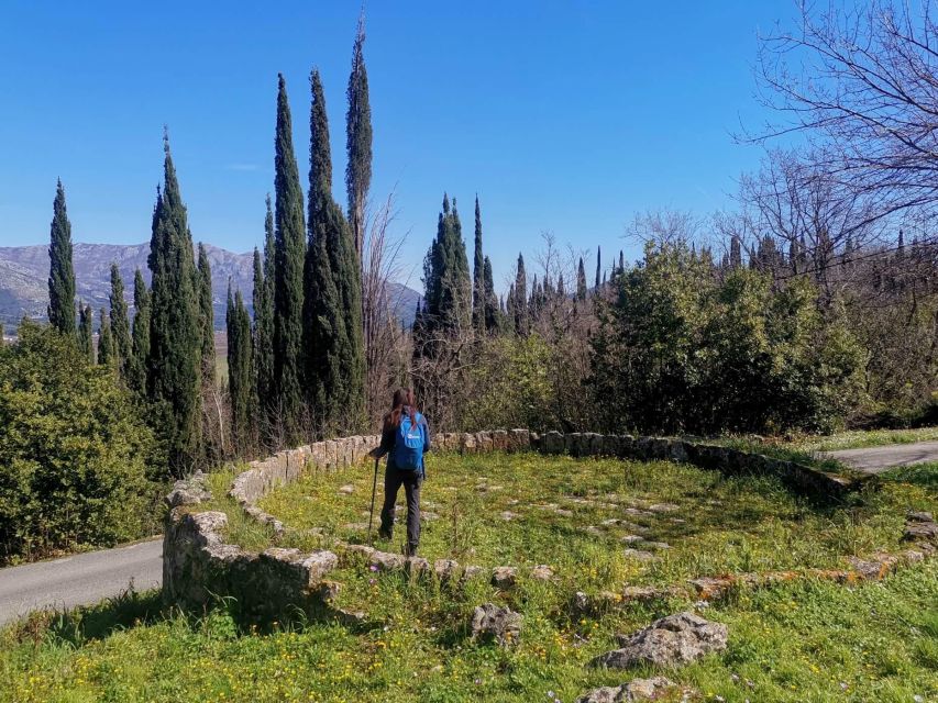 Walking Through Ancient Konavle Villages With a Tasty Finish - Transfer and Culmination