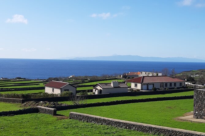 West Coast Van Tour (Half Day) | Terceira Island - Transportation and Logistics