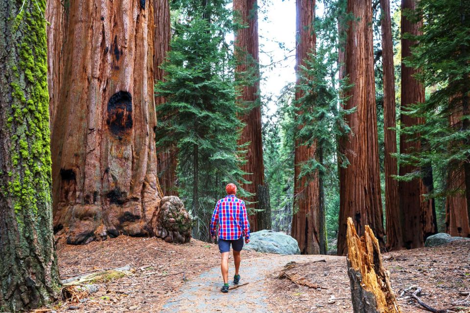 Yosemite Valley 3-Day Camping Adventure - Meeting Point and Transportation