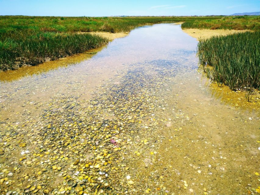 4 Hour Classic Boat Cruise, Ria Formosa Natural Park, Olhão. - Frequently Asked Questions