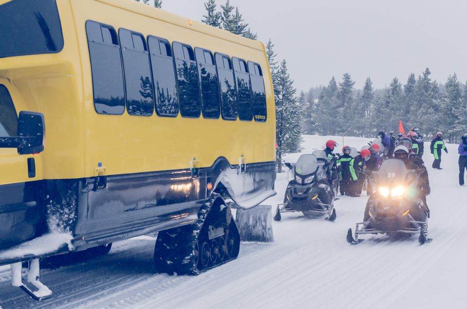 5-Day Winter Yellowstone Wildlife Tour - Frequently Asked Questions