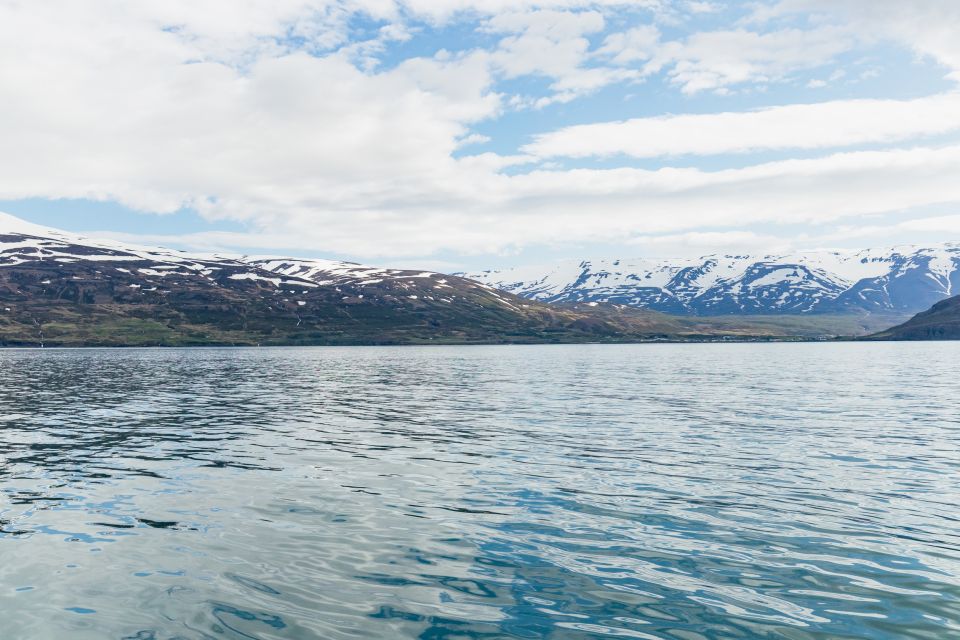 Akureyri: 3-Hour Classic Whale Watching Tour - Frequently Asked Questions