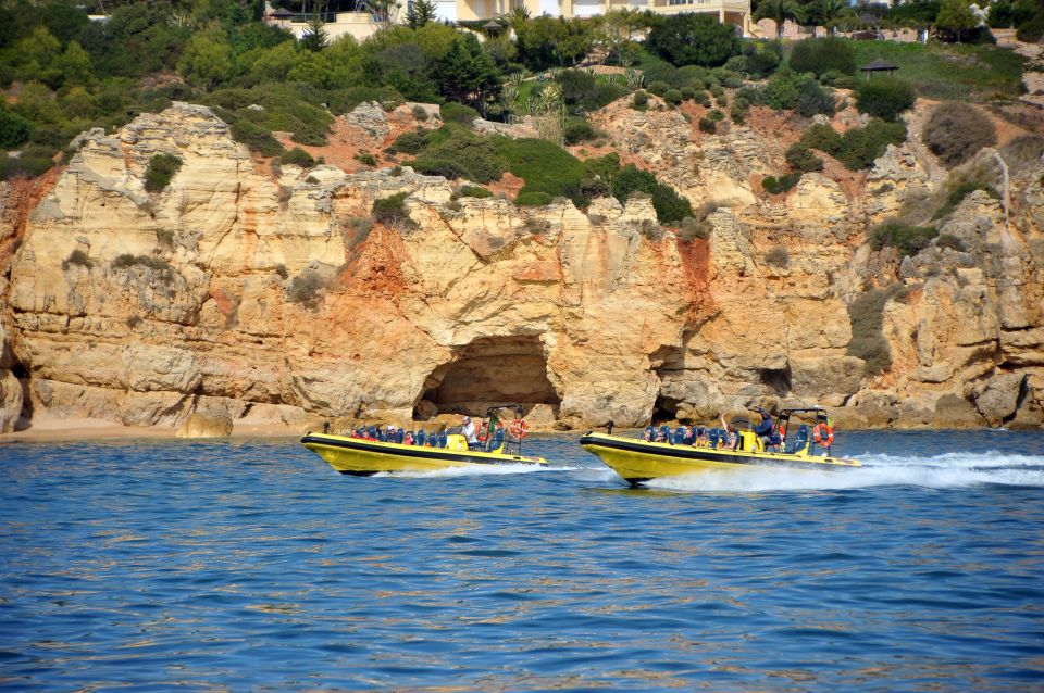 Algarve Coast: Dolphin Watching & Cave Tour - Frequently Asked Questions