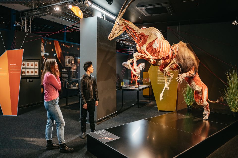 Berlin: Tickets for the BODY WORLDS Museum in Berlin - Frequently Asked Questions