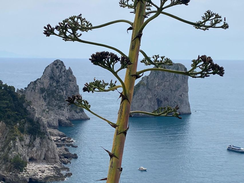 Capri Private Day Tour With Private Island Boat From Rome - Frequently Asked Questions