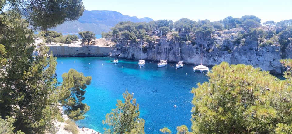 Cassis: Calanques National Park Guided Hiking Half-Day Trip - Recap