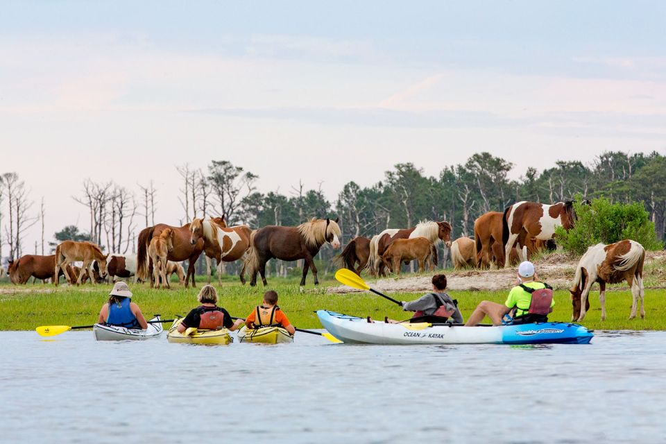 From Chincoteague: Guided Kayak Tour to Assateague Island - Frequently Asked Questions