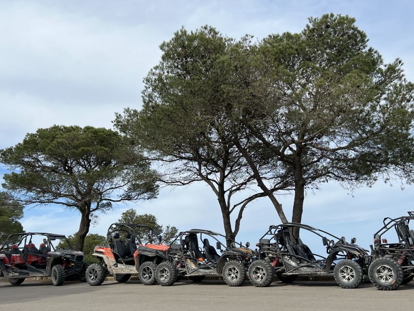 From East Mallorca: Guided Beach and Mountain Buggy Tour - Additional Information