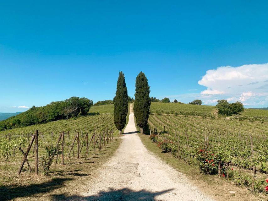 From Florence: Chianti Hills Wineries Tour With Tasting - Frequently Asked Questions