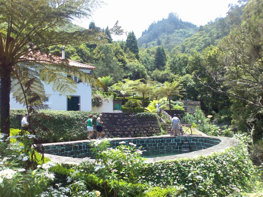 From Funchal: Laurel Forest A-framed Houses Tour - Recap