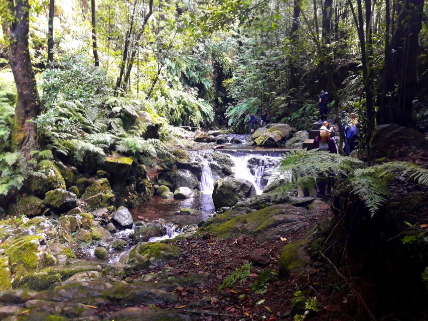 From Funchal: São Jorge Valleys Levada Walk - Frequently Asked Questions