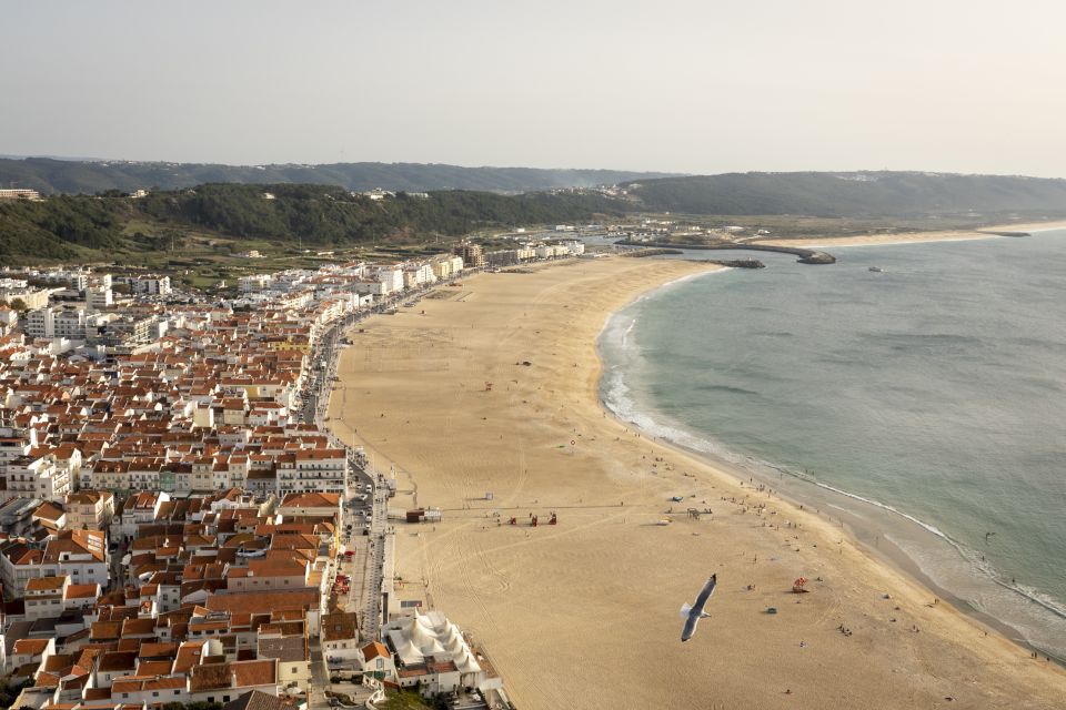 From Lisbon: Day Trip to Porto, Óbidos, and Nazaré - Recap