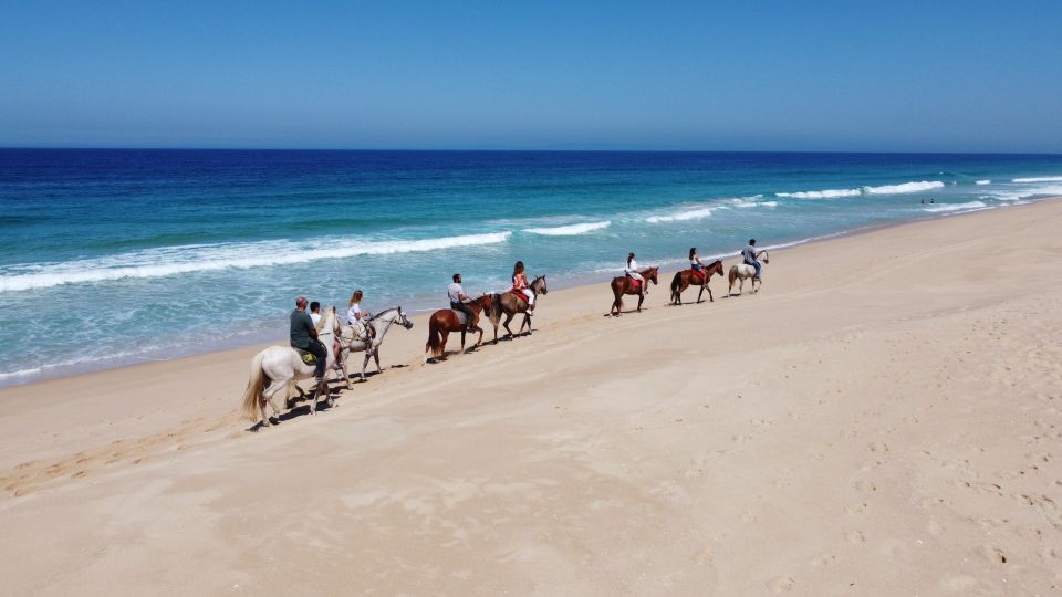 From Lisbon: Horseback Riding on Comporta Beach - Recap