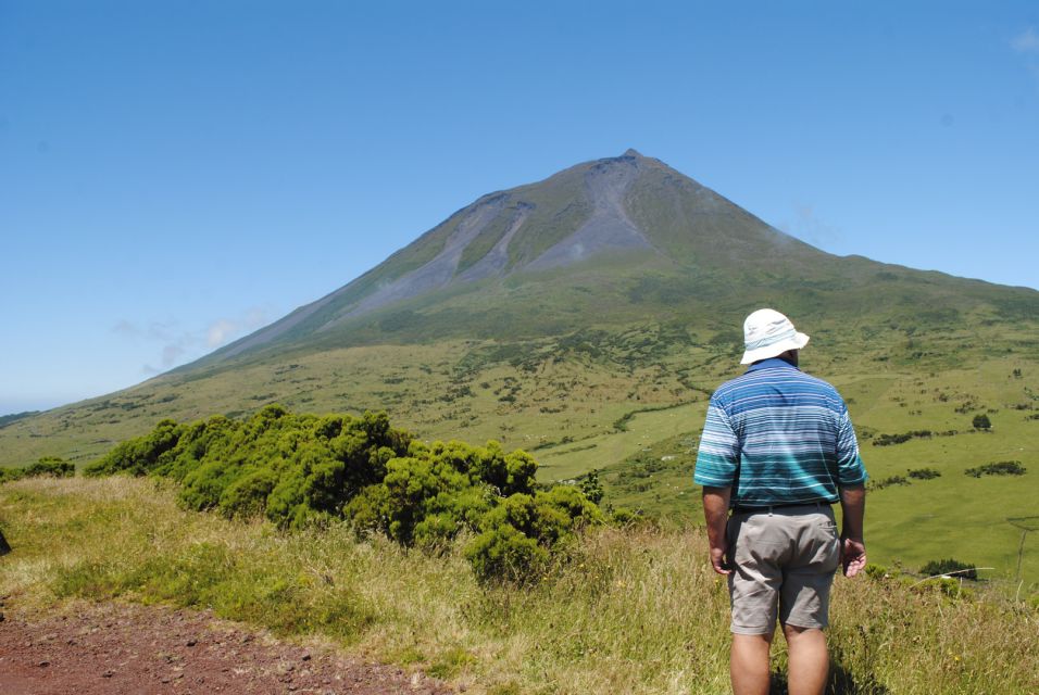 From Madalena: Pico Volcanoes and Lakes Guided Day Tour - Recap