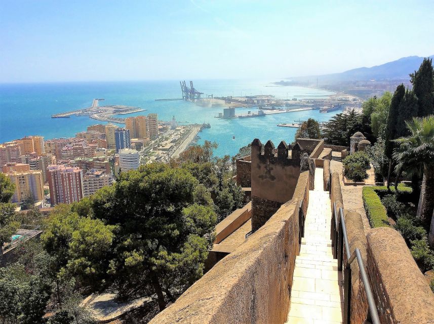 From Marbella: Malaga Private Tour - Recap