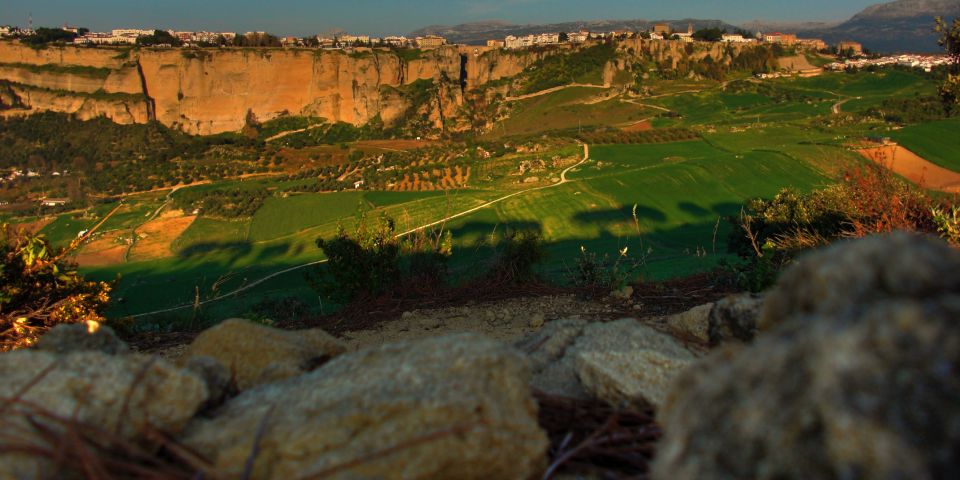 From Marbella or Estepona: Ronda, Bullring, & Baths Day Trip - Recap