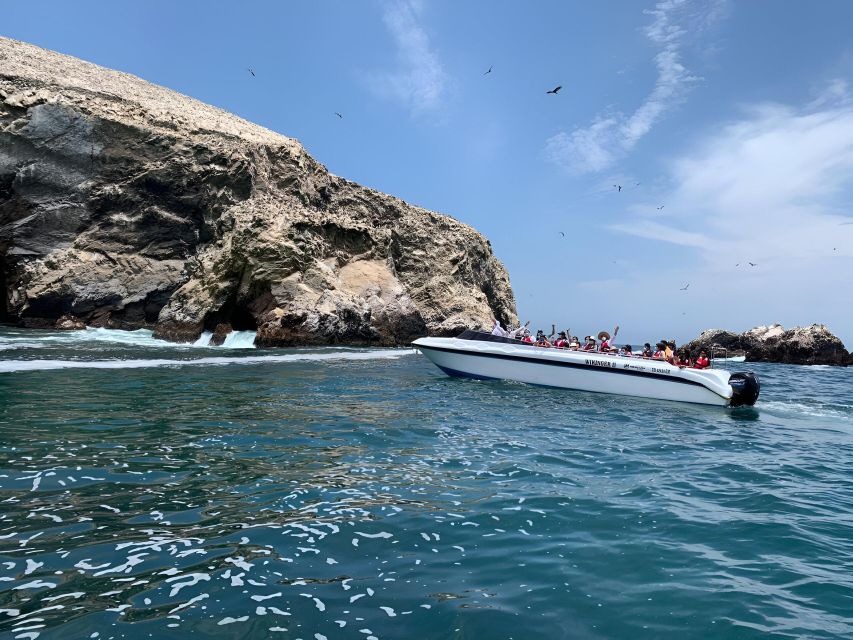 From Paracas: Ballestas Island Marine Wildlife Watching - Frequently Asked Questions