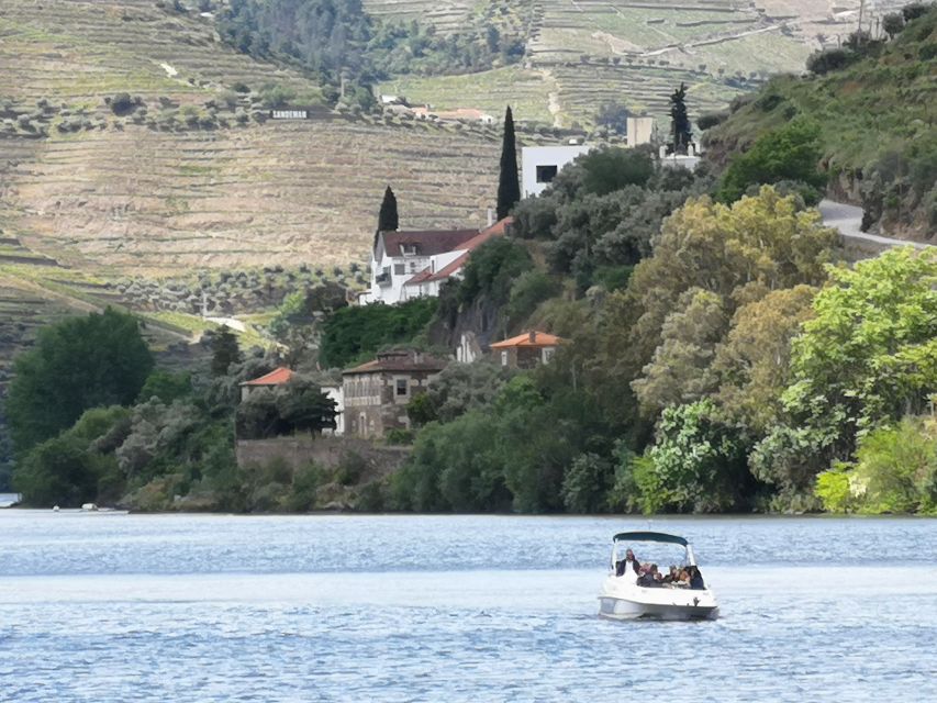 From Porto: Tastings at 2 Wineries, Chefs Lunch & Boat Tour - Recap