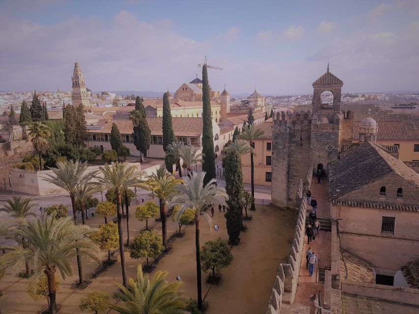 From Seville: Córdoba and Carmona Full-Day Tour - Recap