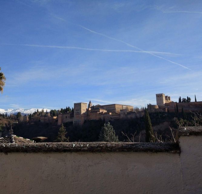 From Seville: Private Day Trip to Ronda and Granada - Recap