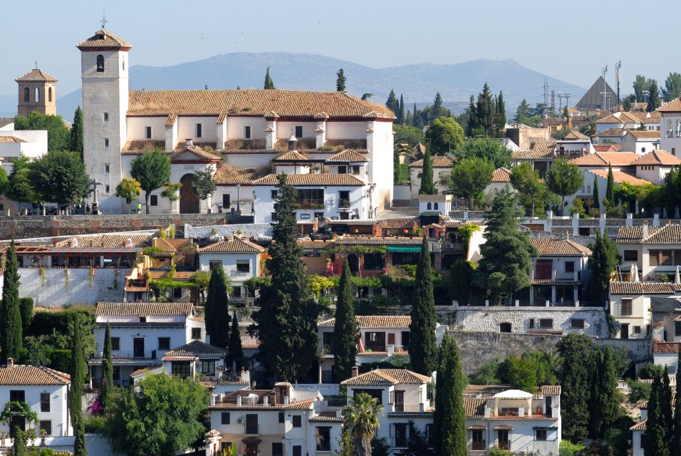 From Seville: Private Granada Day-Trip With Alhambra Visit - Recap