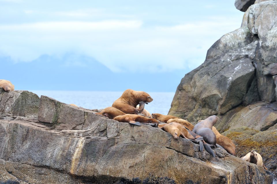 From Seward: Half-Day Resurrection Bay Wildlife Cruise Tour - Frequently Asked Questions