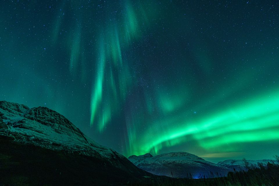 From Tromsø: Northern Lights Guided Bus Chase - Frequently Asked Questions