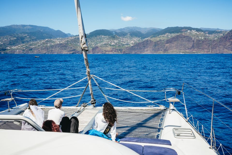 Funchal: Dolphin and Whale Watching by Luxury Catamaran - Frequently Asked Questions