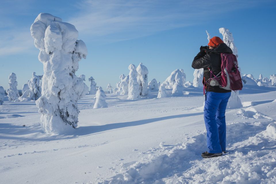 Hiking in Riisitunturi National Park With Photographer - Frequently Asked Questions