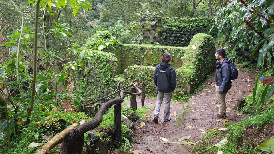 Lomba De São Pedro: Waterfall Hiking Tour With Tea Tasting - Frequently Asked Questions