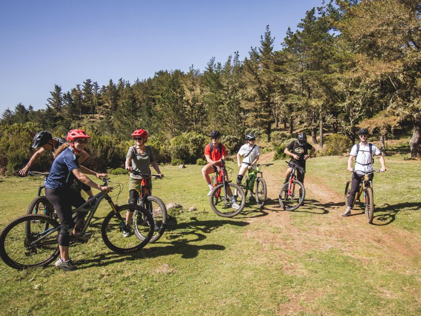 Madeira : Mountain Bike Trail Experience - Recap