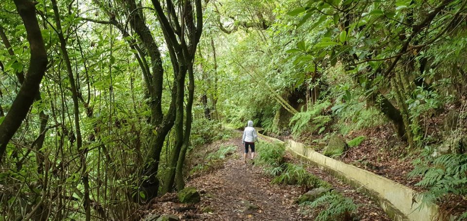 Madeira: Private Jeep 4x4 West Tour to Natural Pools - Frequently Asked Questions