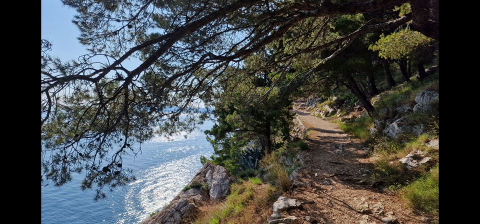 Makarska: Scenic Coastal Hike & Swim Tour - Frequently Asked Questions