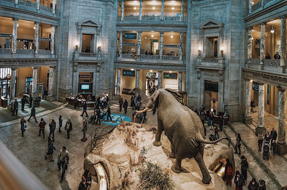 National Museum of Natural History Guided Tour - Frequently Asked Questions