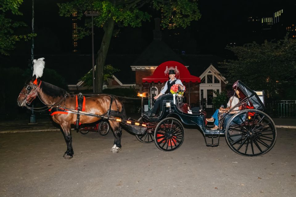 NYC MOONLIGHT HORSE CARRIAGE RIDE Through Central Park - Frequently Asked Questions