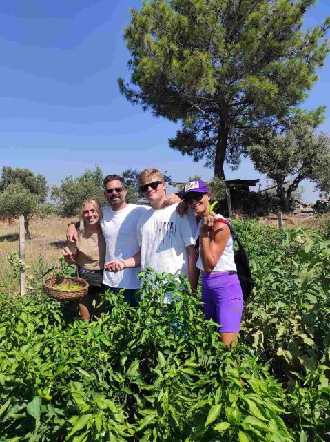 Olive Tasting & Rustic Lunch in Country Home With Live Music - Frequently Asked Questions