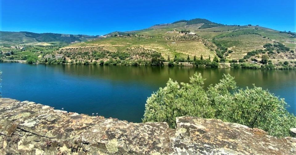 Porto: Douro Valley Private Tour 2 Vineyards & River Cruise - Frequently Asked Questions