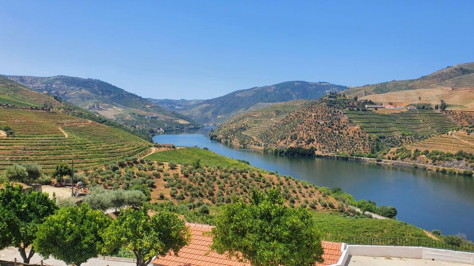 Porto: Douro Valley Tour With Winery Tasting, Cruise & Lunch - Recap