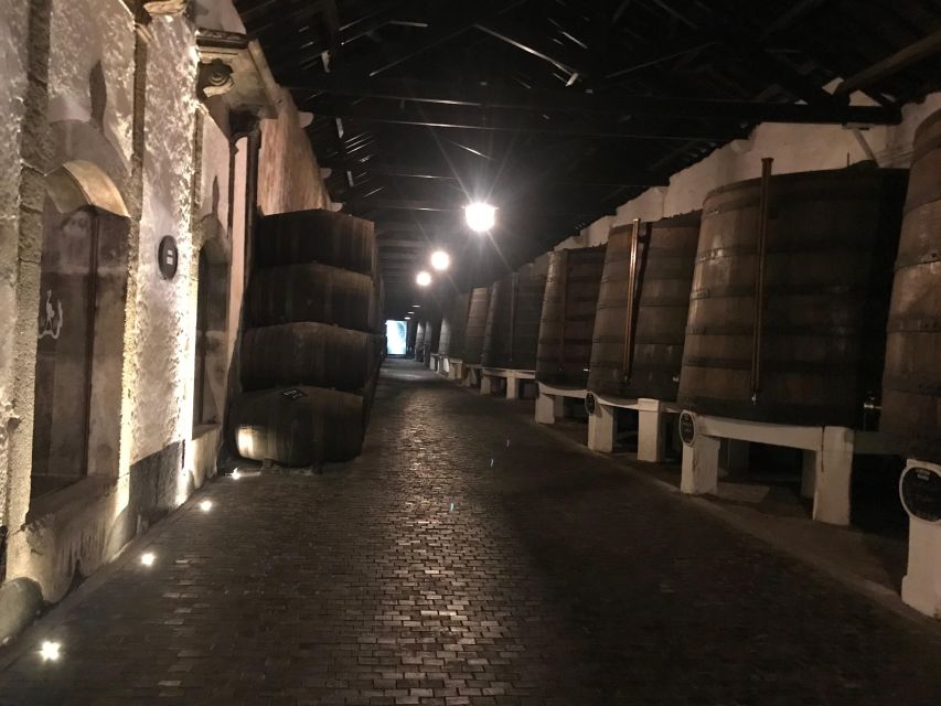 Porto + Port Cellar Visit and Tasting + Sardine Factory Tour - Frequently Asked Questions