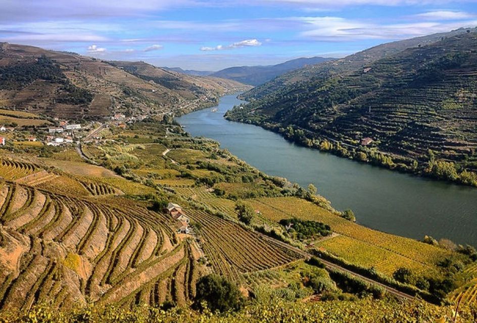 Porto: Private Douro Valley & Wine Tour With Lunch & Cruise - Frequently Asked Questions