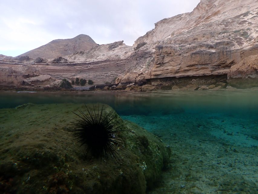 Porto Santo: Snorkeling Tour - Frequently Asked Questions