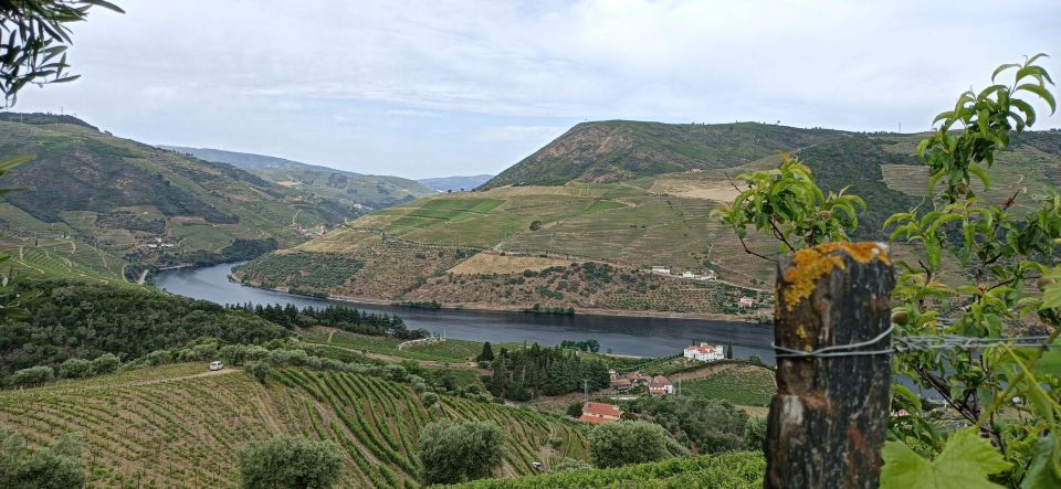 Private Douro Wine Tour - Frequently Asked Questions