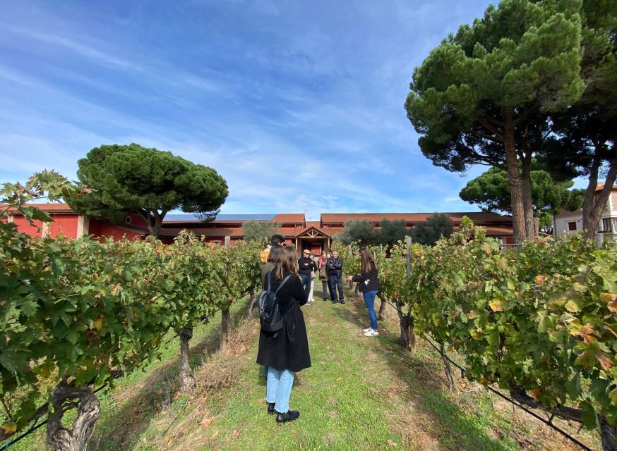 Ribera Del Duero Tour: Full Day Wine Tour From Madrid - Recap