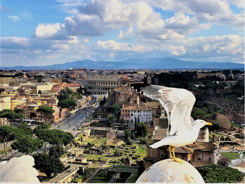 Rome: Vatican, Colosseum & Main Squares Tour W/ Lunch & Car - Frequently Asked Questions