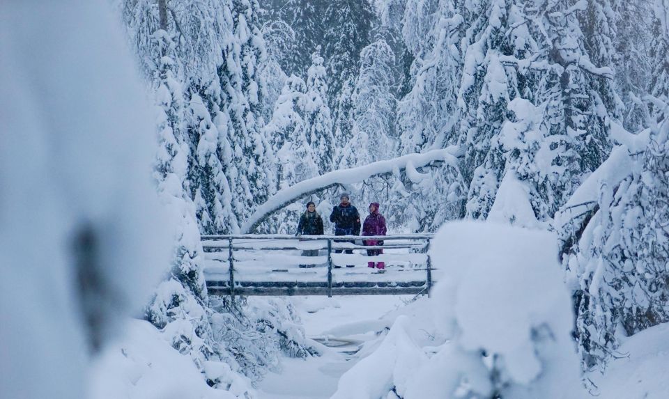 Rovaniemi: Korouoma Canyon and Frozen Waterfalls Tour - Frequently Asked Questions