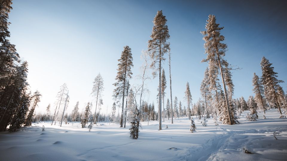 Rovaniemi: Ski Trekking Safari in Lapland - Frequently Asked Questions