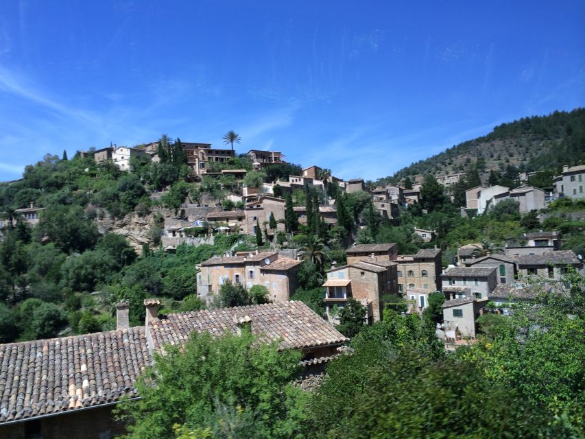 Serra De Tramuntana Half-Day Tour: Soller and Valldemosa - Recap