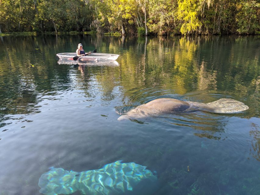 Silver Springs: Manatees and Monkeys Clear Kayak Guided Tour - Frequently Asked Questions