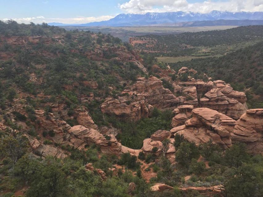 Springdale: Half-Day Canyoneering Experience - Frequently Asked Questions